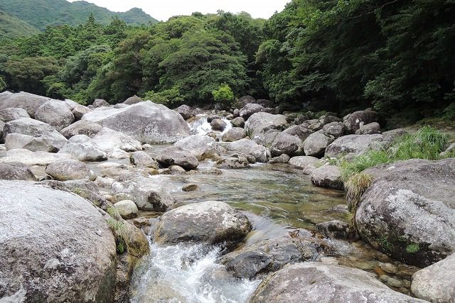 屋久島